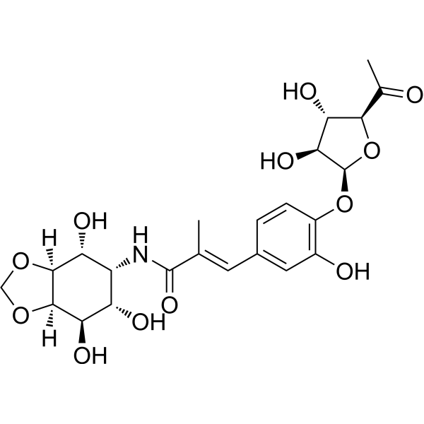 Hygromycin A 6379-56-2